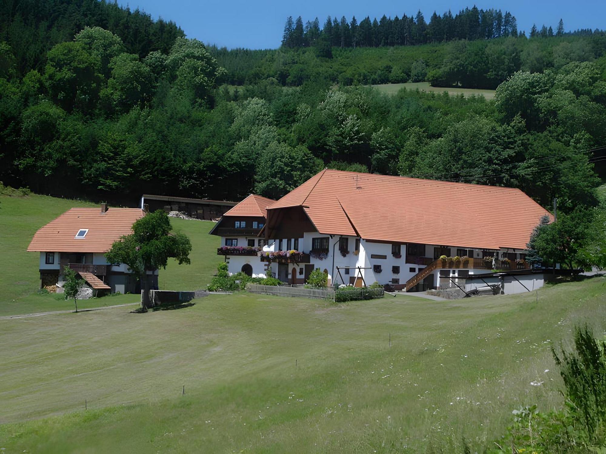 Appartamento Uhlhof Neuenbach Esterno foto
