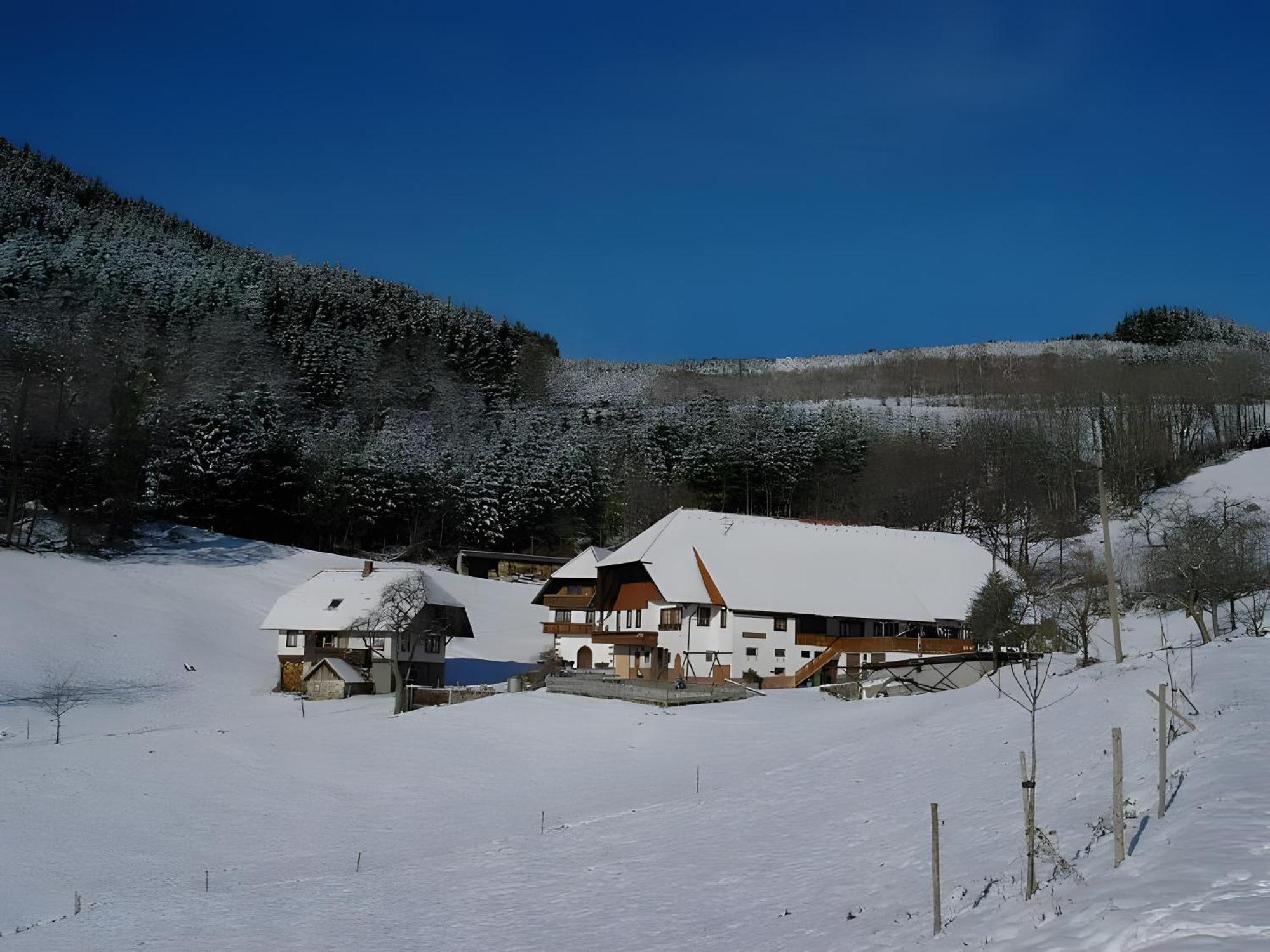 Appartamento Uhlhof Neuenbach Esterno foto
