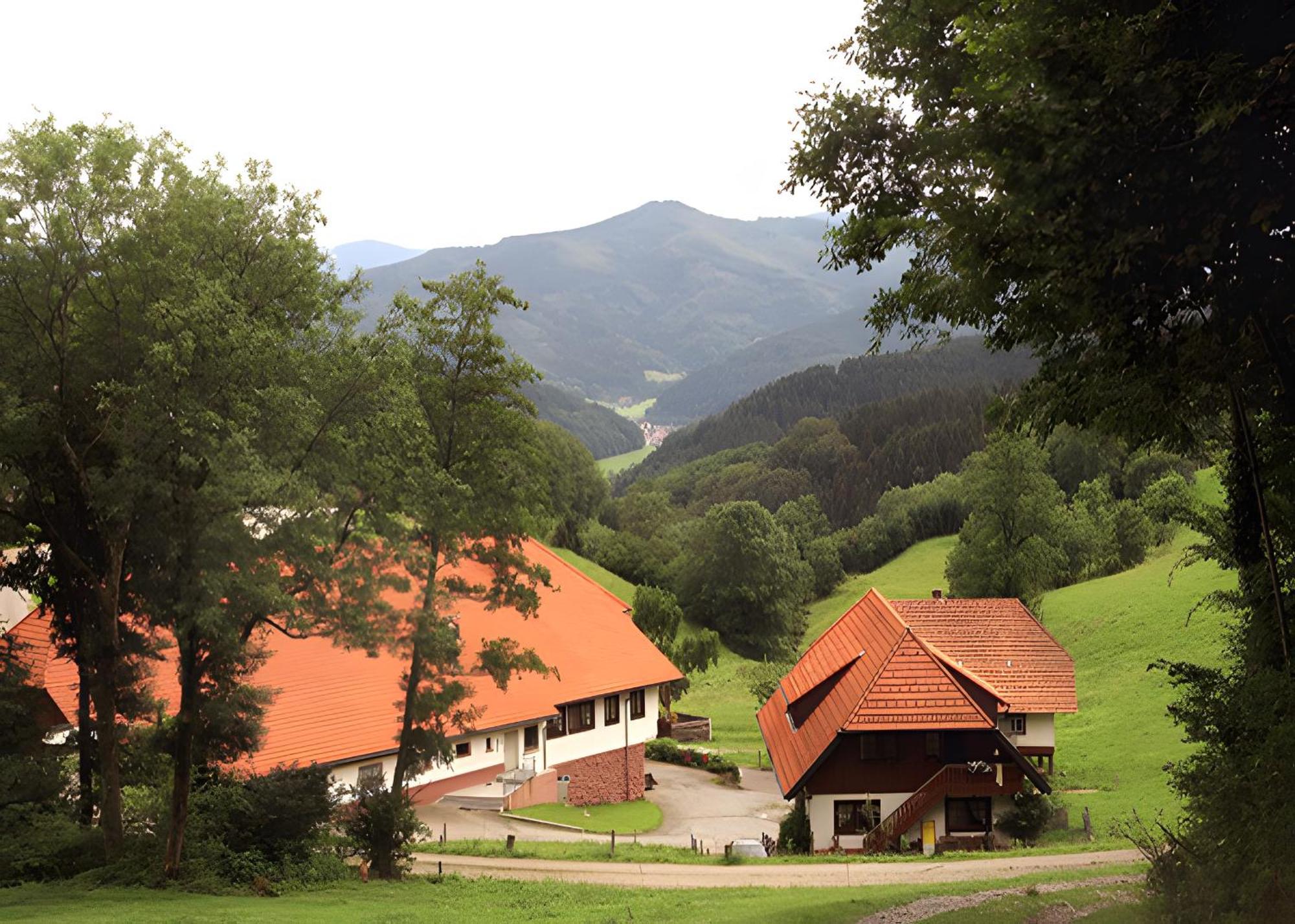 Appartamento Uhlhof Neuenbach Esterno foto